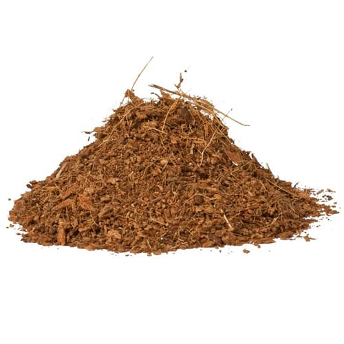 coco peat